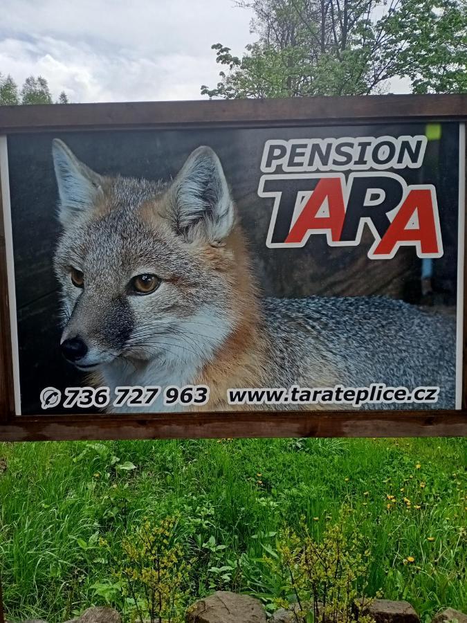Pension Tara Teplice nad Metují Eksteriør bilde
